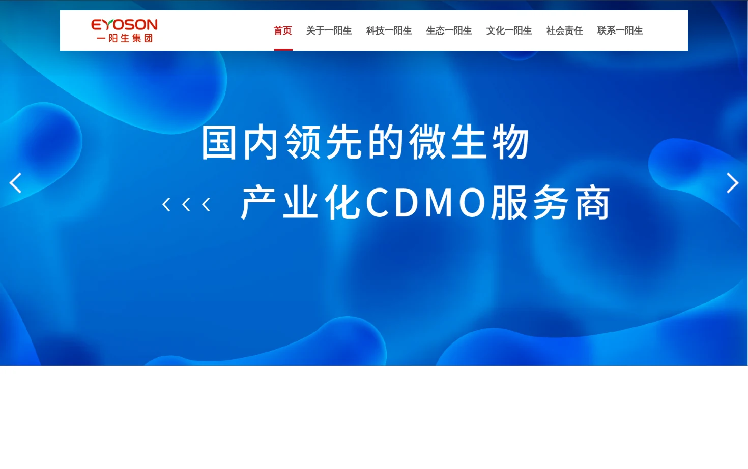 一阳生集团有限公司 页面快照